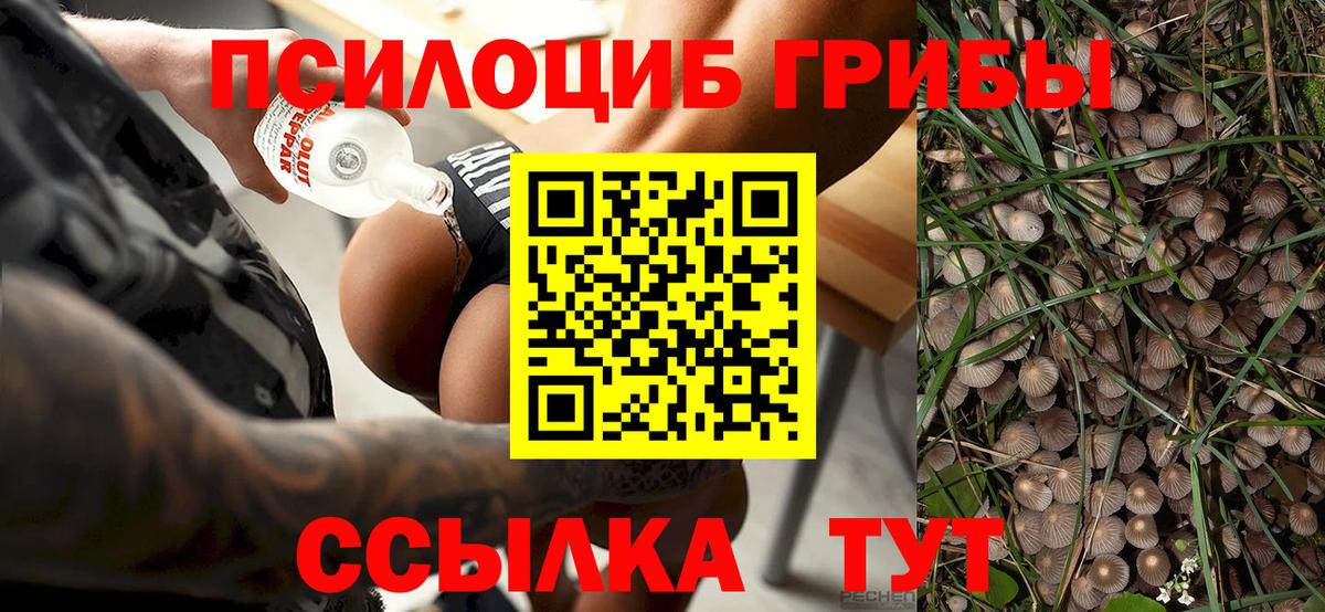 Псилоцибиновые грибы GOLDEN TEACHER Отрадное