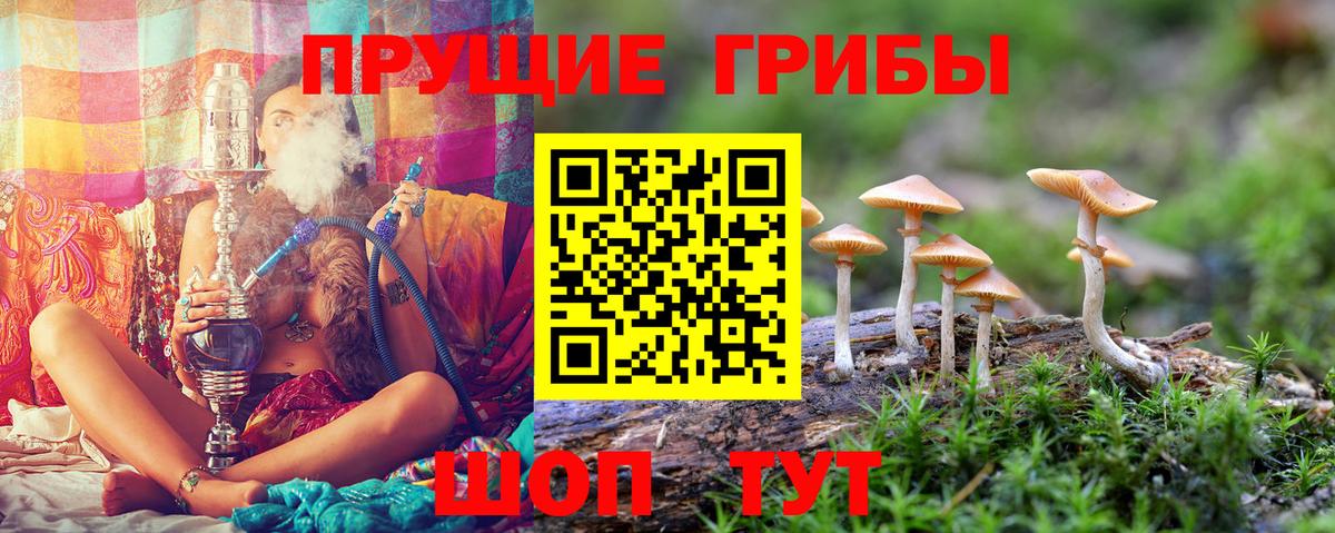 Отрадное  Галлюциногенные грибы Psilocybine cubensis  Вход с VPN 